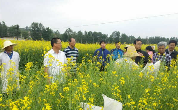 中國中醫(yī)科學(xué)院研發(fā)實驗服務(wù)基地建設(shè)項目獲驗收