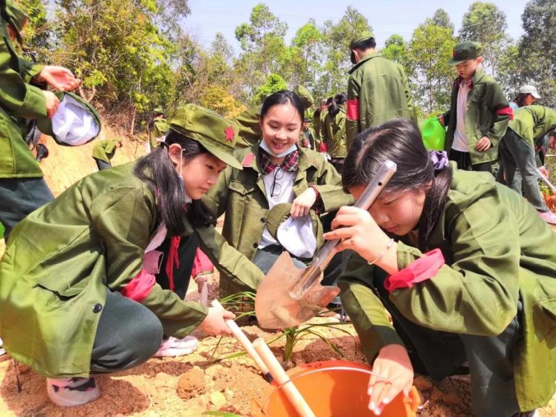 勞動實踐：種植萱草