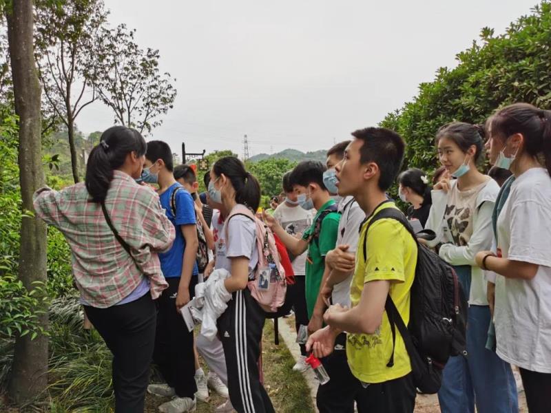 科普廣東十大道地藥材